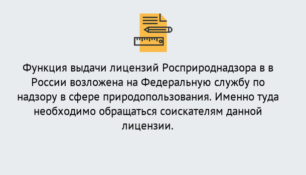 Почему нужно обратиться к нам? Минеральные Воды Лицензия Росприроднадзора. Под ключ! в Минеральные Воды