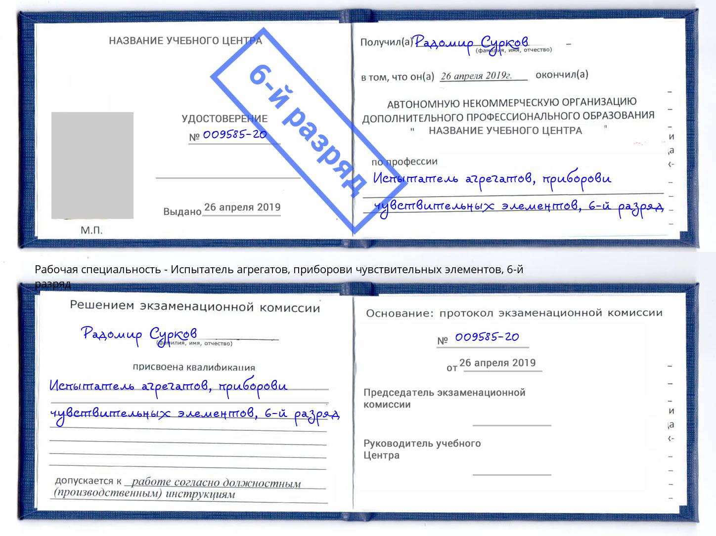 корочка 6-й разряд Испытатель агрегатов, приборови чувствительных элементов Минеральные Воды